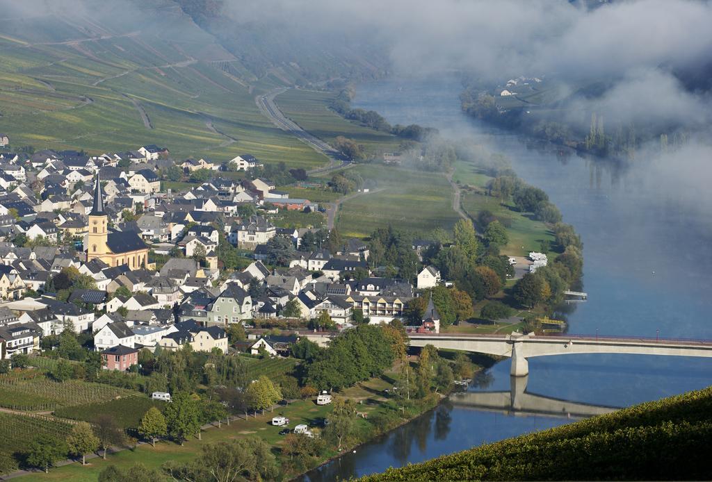 Weingut & Gaestehaus Edwin Hoffmann Trittenheim Buitenkant foto
