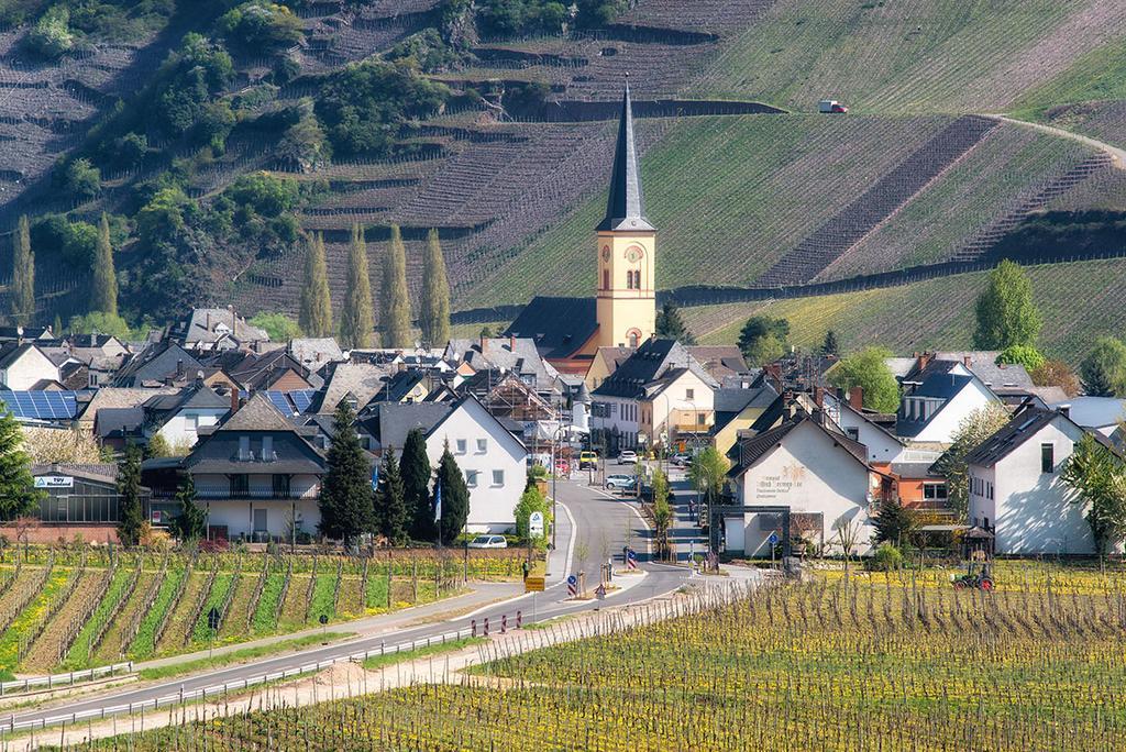 Weingut & Gaestehaus Edwin Hoffmann Trittenheim Buitenkant foto