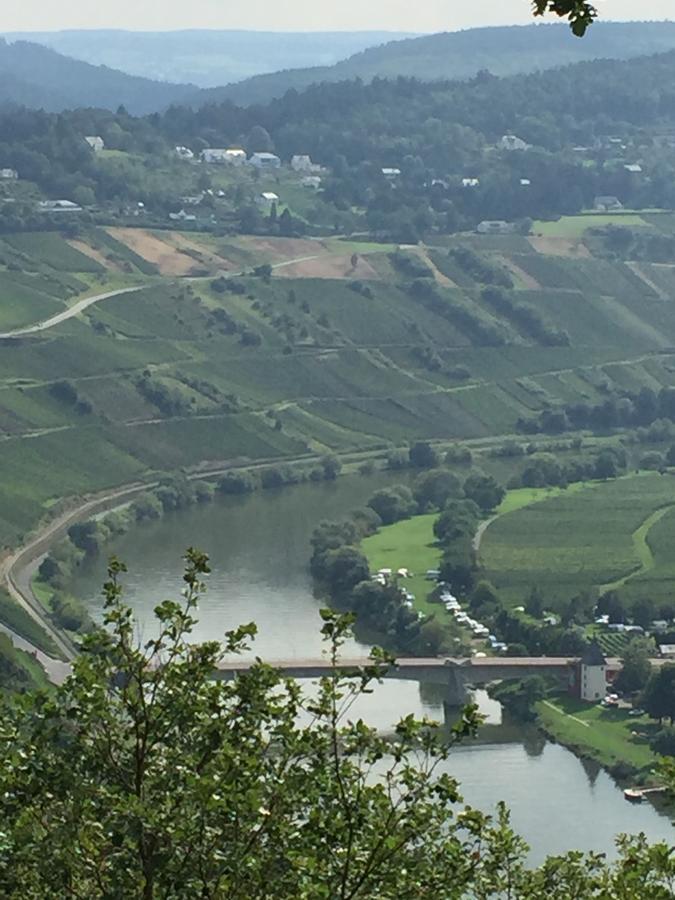 Weingut & Gaestehaus Edwin Hoffmann Trittenheim Buitenkant foto